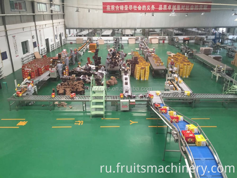 Manufacturing widely used automatic mushroom sauce production line